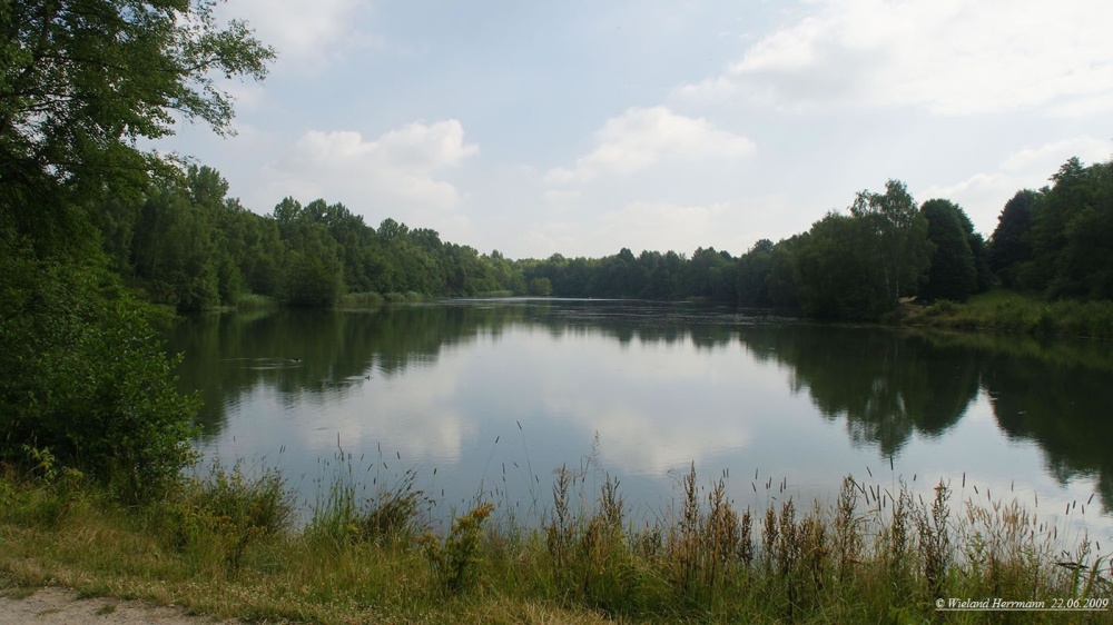 Schwarze Heide